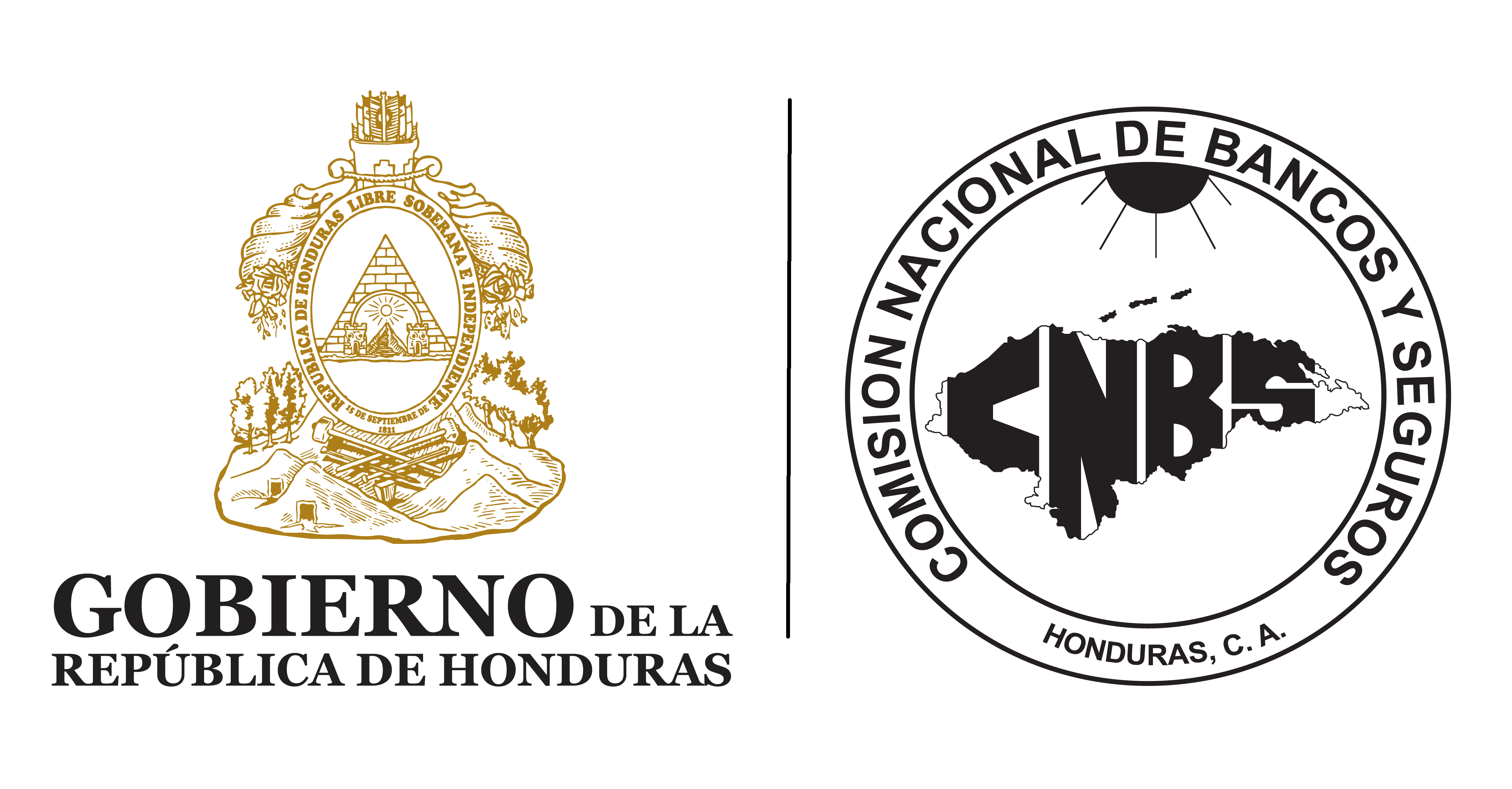 CNBS Logo